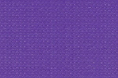 PurpleZ16Web-300x240