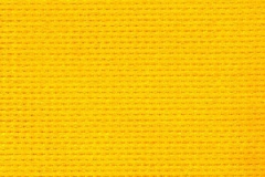 YellowZ16Web-300x240